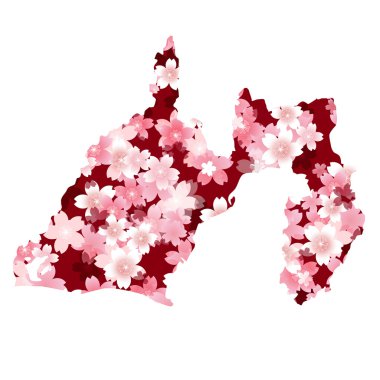Shizuoka　spring cherry blossoms